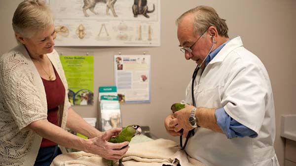 Exotic Pet Care at Burloak Animal Hospital