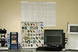 Photo Lab