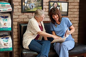 Veterinary Services Available at Burloak Animal Hospital