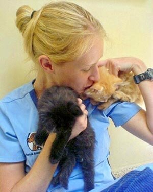 Puppy & Kitten Care at Burloak Animal Hospital