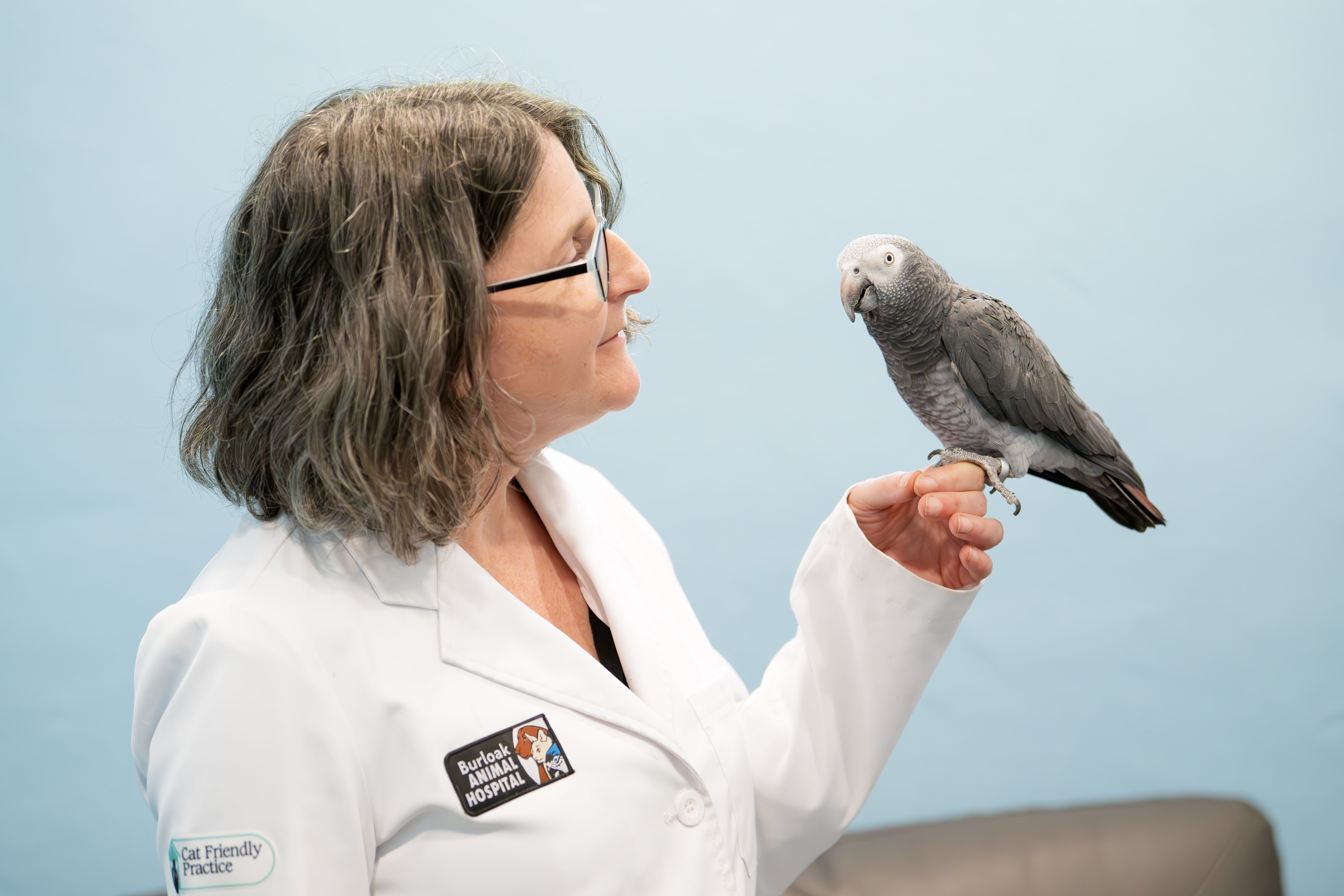 Small exotic pet in caring hands