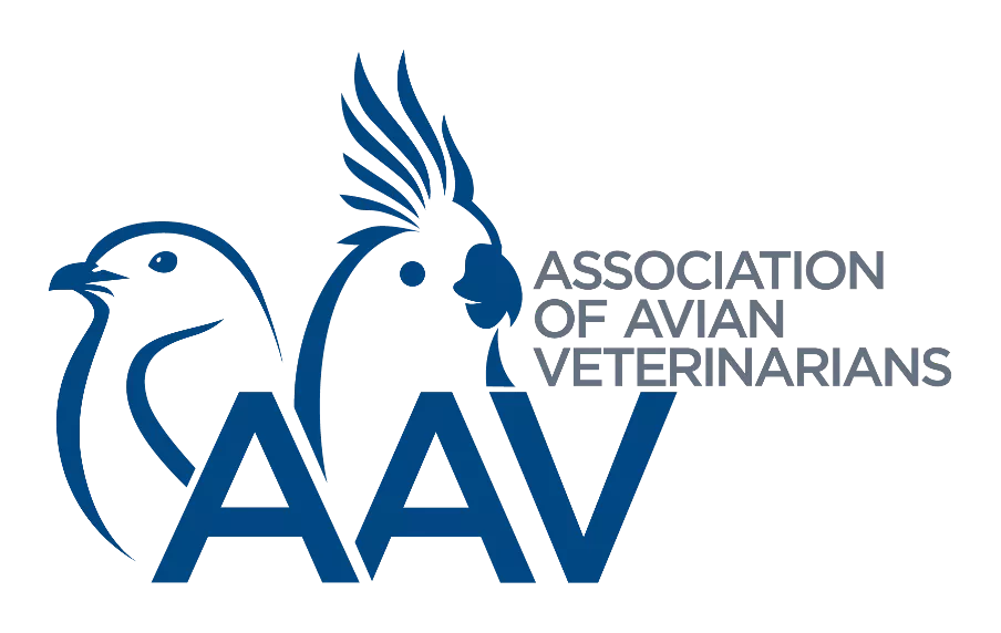 Accreditation partner logo