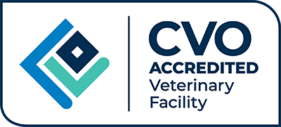 Accreditation partner logo