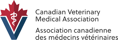 Accreditation partner logo