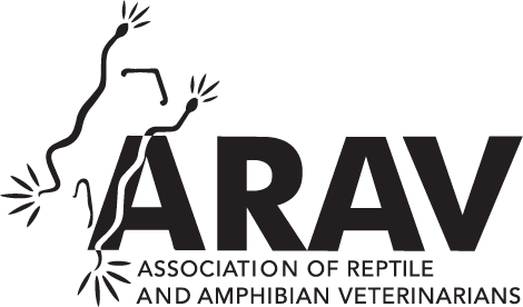 Accreditation partner logo